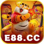 E88 Com