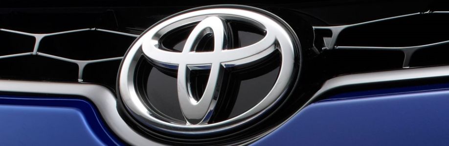 Toyotadelhisales7 Cover Image