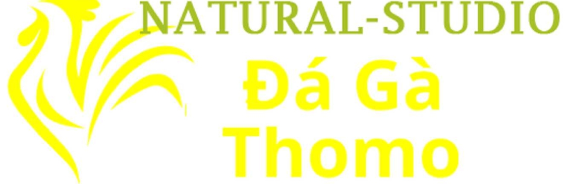 Đá Gà Trực Tiếp Thomo Cover Image