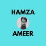Hamza Ameer