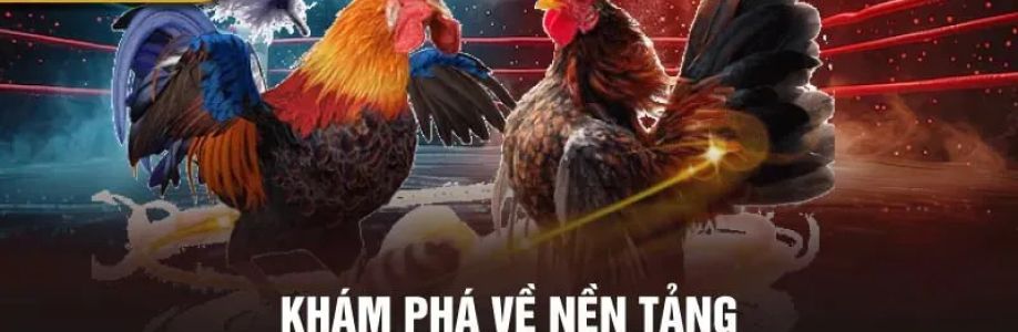 đá gà thomo Cover Image