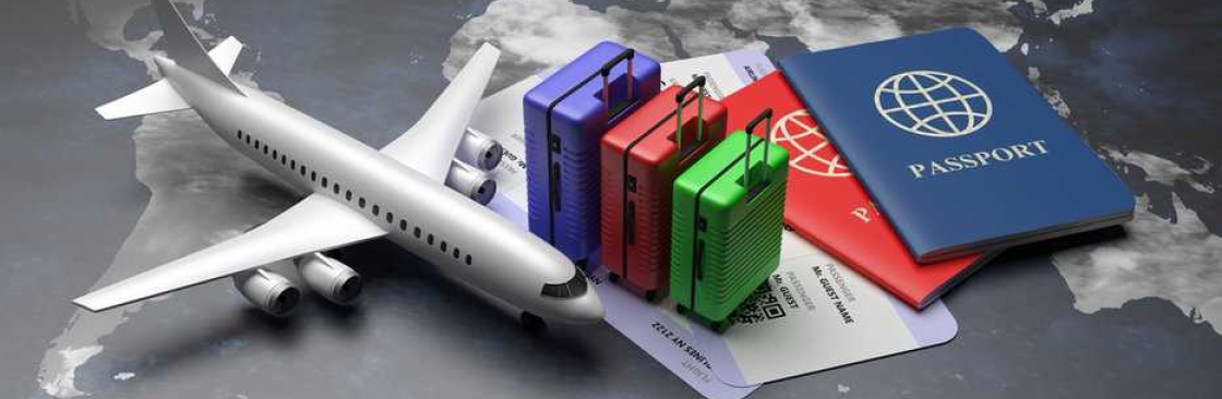 The FlightsHub New Zealand Cover Image