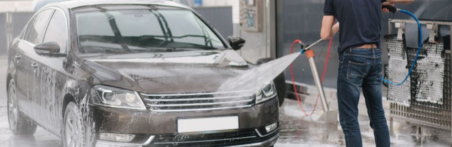 White dove car wash Cover Image
