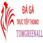 Đá Gà Trực Tiếp Thomo