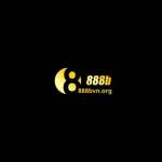 888B Org