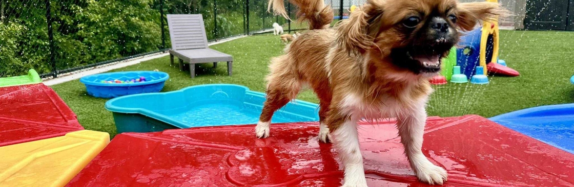 Pet Play Place Cover Image