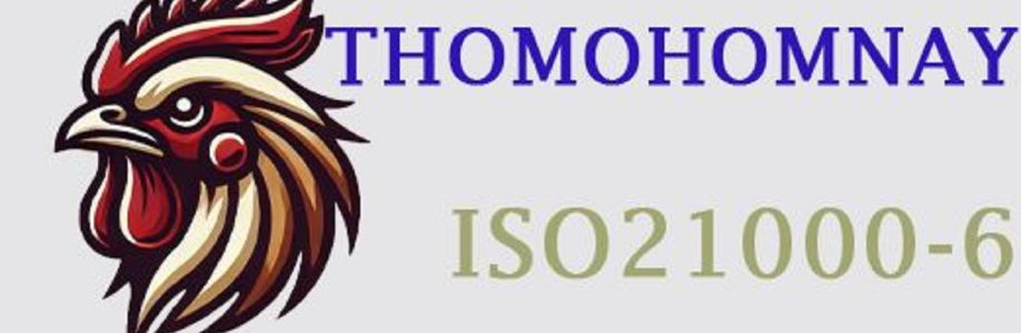 Thomo Hôm Nay Cover Image