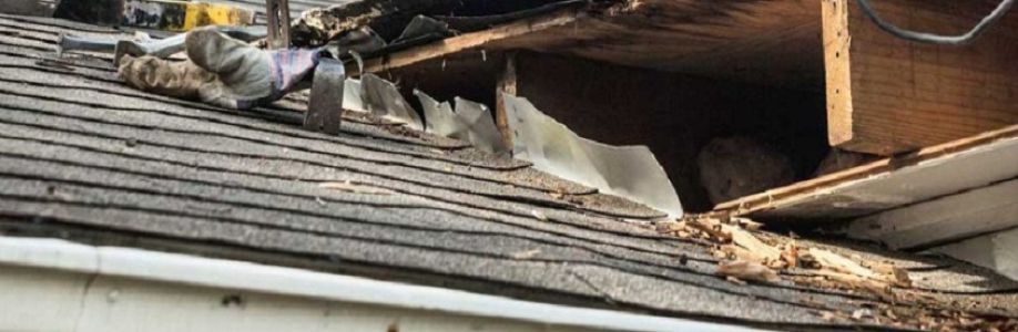 LePierre Roofing Cover Image