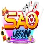 Saowin accountant