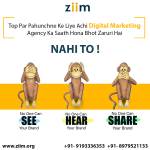 ziim institute