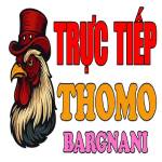 ĐÁ GÀ TRỰC TIẾP THOMO HÔM NAY TẠI CAMPUCHIA