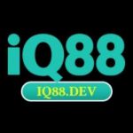 iq88dev