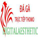 Đá Gà Trực Tiếp thomo