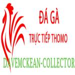 Đá Gà Trực Tiếp Thomo