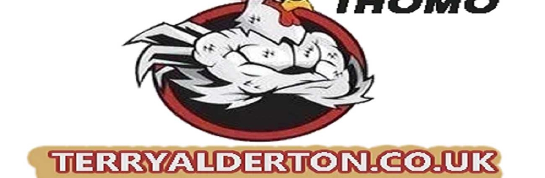 ĐÁ GÀ TRỰC TIẾP VIN Cover Image