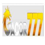 Link Gacor777