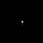 Large Globes Profile Picture