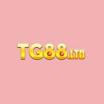 Tg88 Ltd