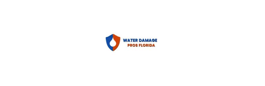 waterdamageprostampa Cover Image