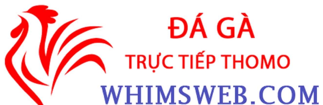 Đá Gà Trực Tiếp Thomo Cover Image
