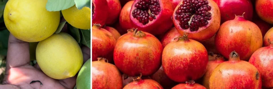 Celgen Biotech Cover Image