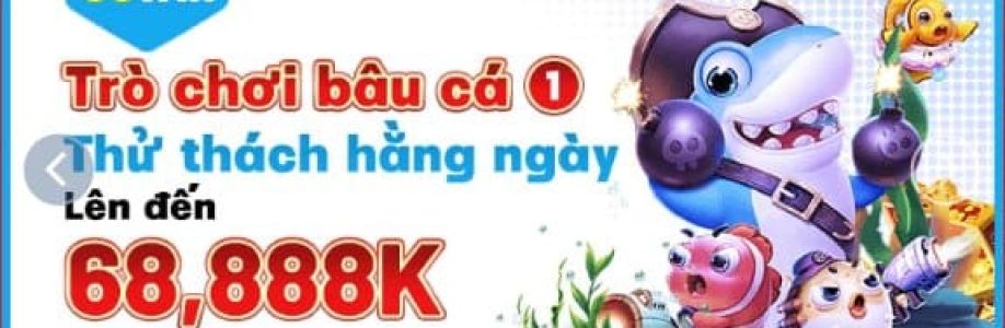 win 68 Cover Image