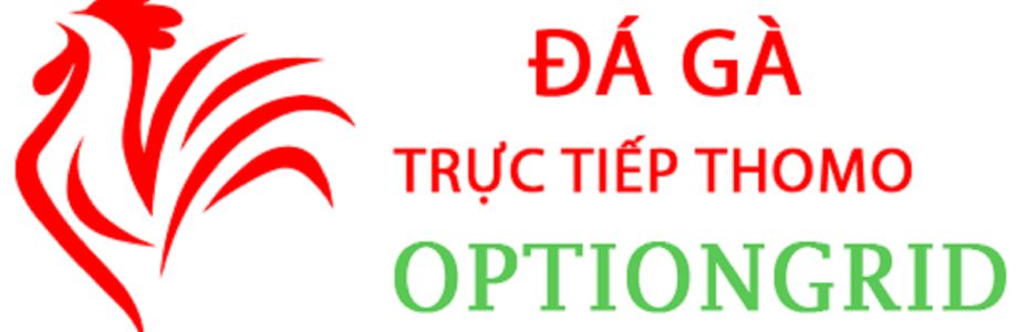 Đá Gà Trực Tiếp Thomo Cover Image