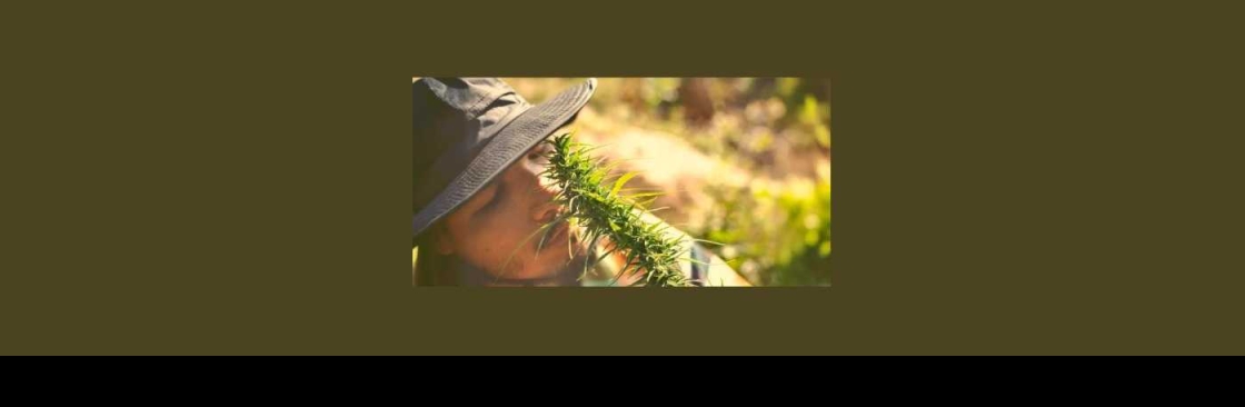 Del Plata Seeds Cover Image