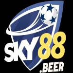 Sky881 net