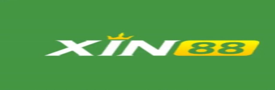 XIN88co com Cover Image