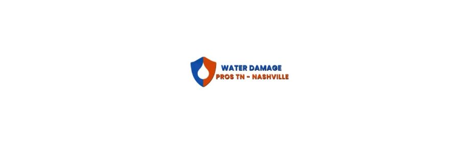 waterdamageprosnashville Cover Image