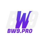 bw9 pro