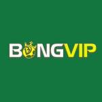 BONGVIP – Cổng cá cược đỉnh cao!