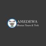 Amedewa Tours & Trek
