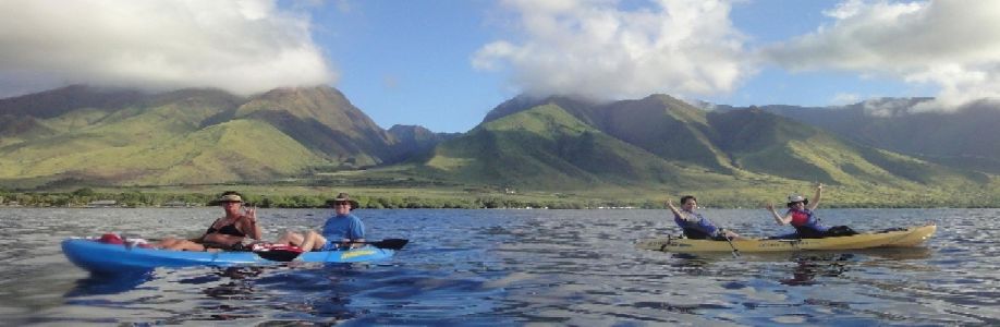 Hawaiian Tour Co Cover Image