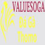 Đá Gà Trực Tiếp Thomo