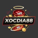 Xocdia88 nyc Cổng Game Xóc Đĩa Uy Tín Hàng Đầu Việt Nam