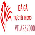 Đá Gà Trực Tiếp Thomo