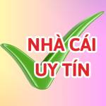 Nhà Cái Uy Tín