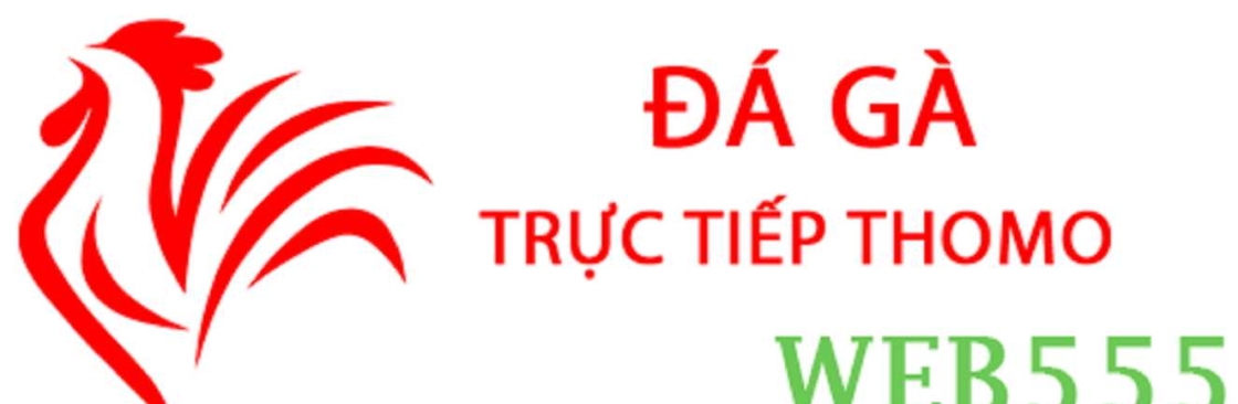 Đá Gà Trực Tiếp Thomo Cover Image