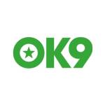 ok9 jogo plataforma de jogos online