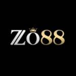 Zo88 network