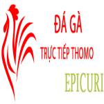 Đá Gà Trực Tiếp Thomo