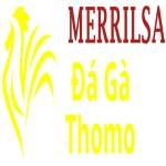 Đá Gà Trực Tiếp Thomo