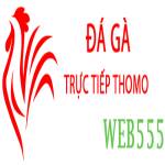 Đá Gà Trực Tiếp Thomo Profile Picture