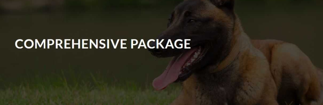 The Driven Dog Cover Image