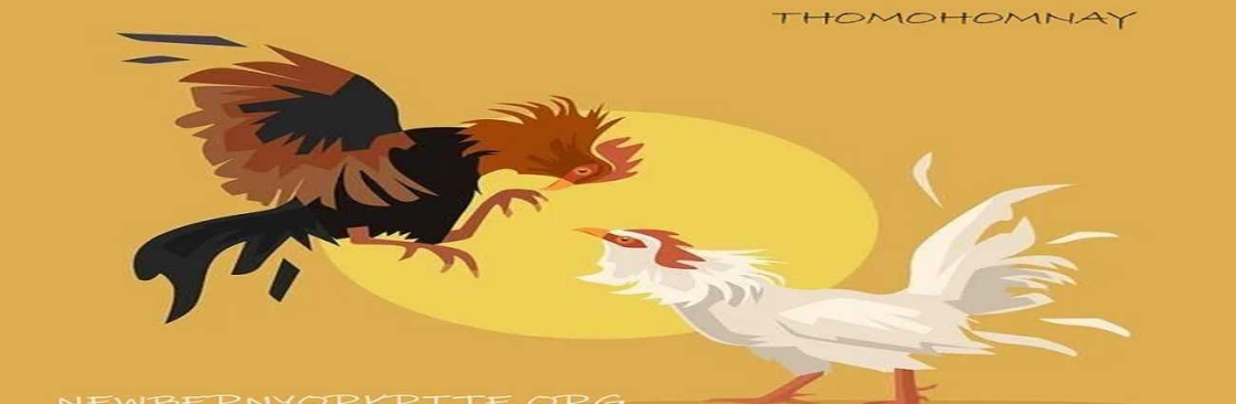 thomohomnay TRỰC TIẾP ĐÁ GÀ THOMO Cover Image