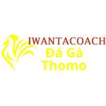 Đá Gà Trực Tiếp Thomo