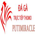Đá Gà Trực Tiếp Thomo