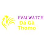 Đá Gà Trực Tiếp Thomo